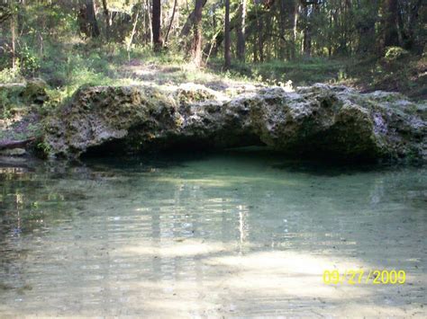 springs near live oak fl.